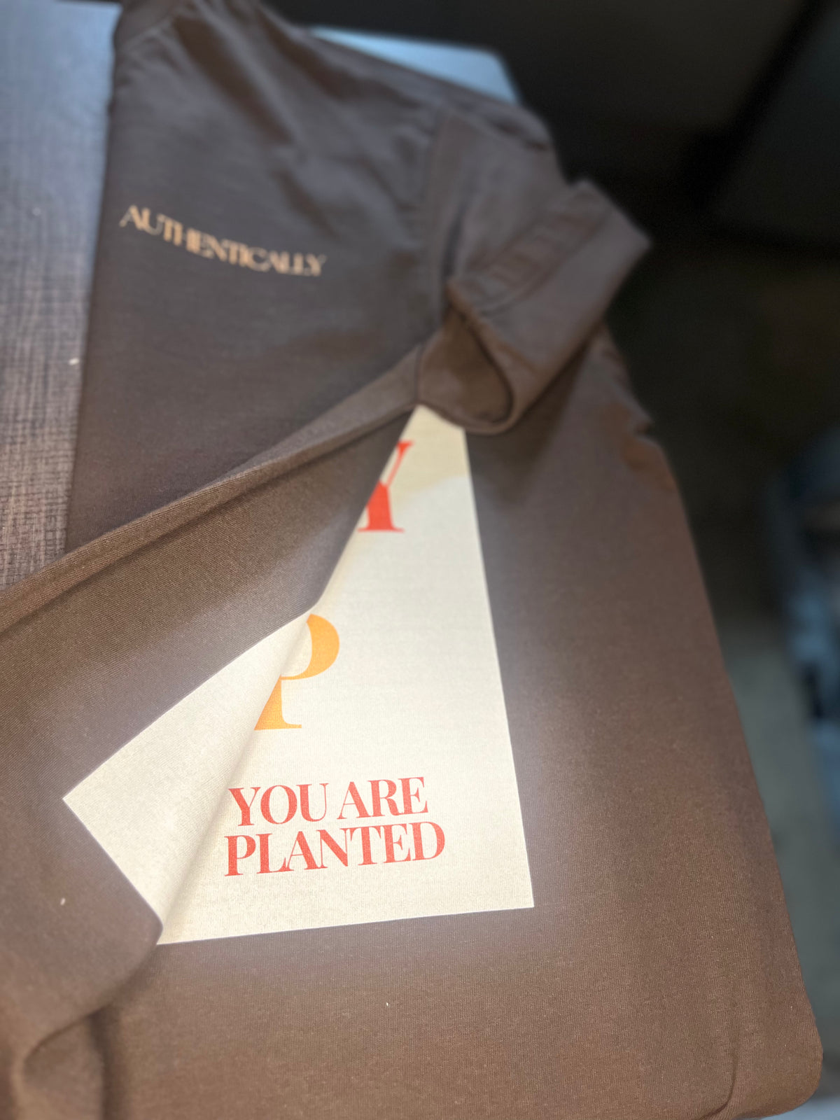 Brown -  Planted T-Shirt (Heavy)